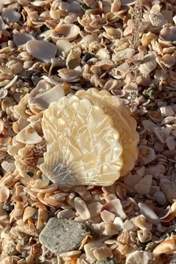 Monday Swimwear Sanibel Shell Hair Clip - Ivory Swirl